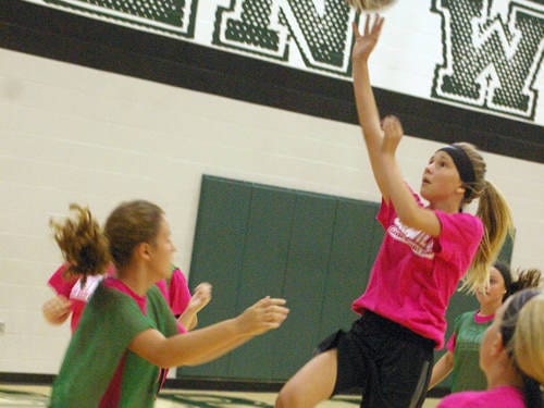 More Than 120 Girls Attend Greenville Youth Girls Basketball Camp