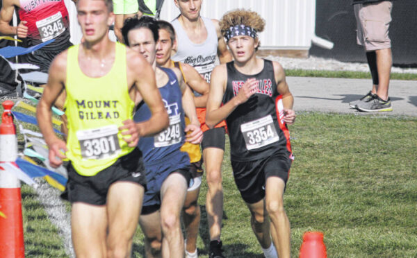 Versailles and Ansonia end cross country seasons at states